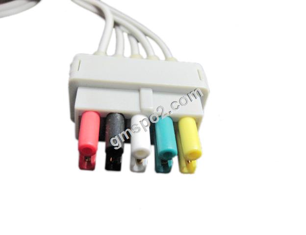 pro-5-o'q qo'rg'oshin tanga-.jpg